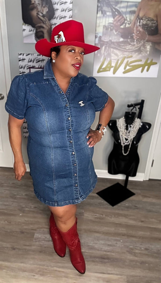Denim Dreams Button-Down Dress